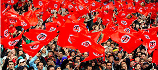 podologue ostéopathe stade toulousain