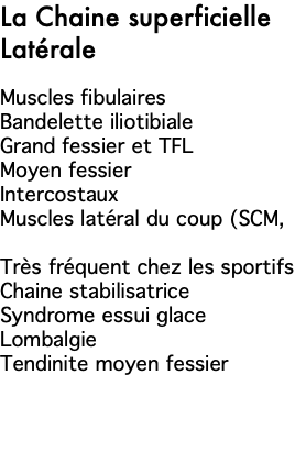 La Chaine superficielle Latérale Muscles fibulaires Bandelette iliotibiale Grand fessier et TFL Moyen fessier Intercostaux Muscles latéral du coup (SCM, Très fréquent chez les sportifs Chaine stabilisatrice Syndrome essui glace Lombalgie Tendinite moyen fessier 