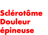  Sclérotôme Douleur épineuse 